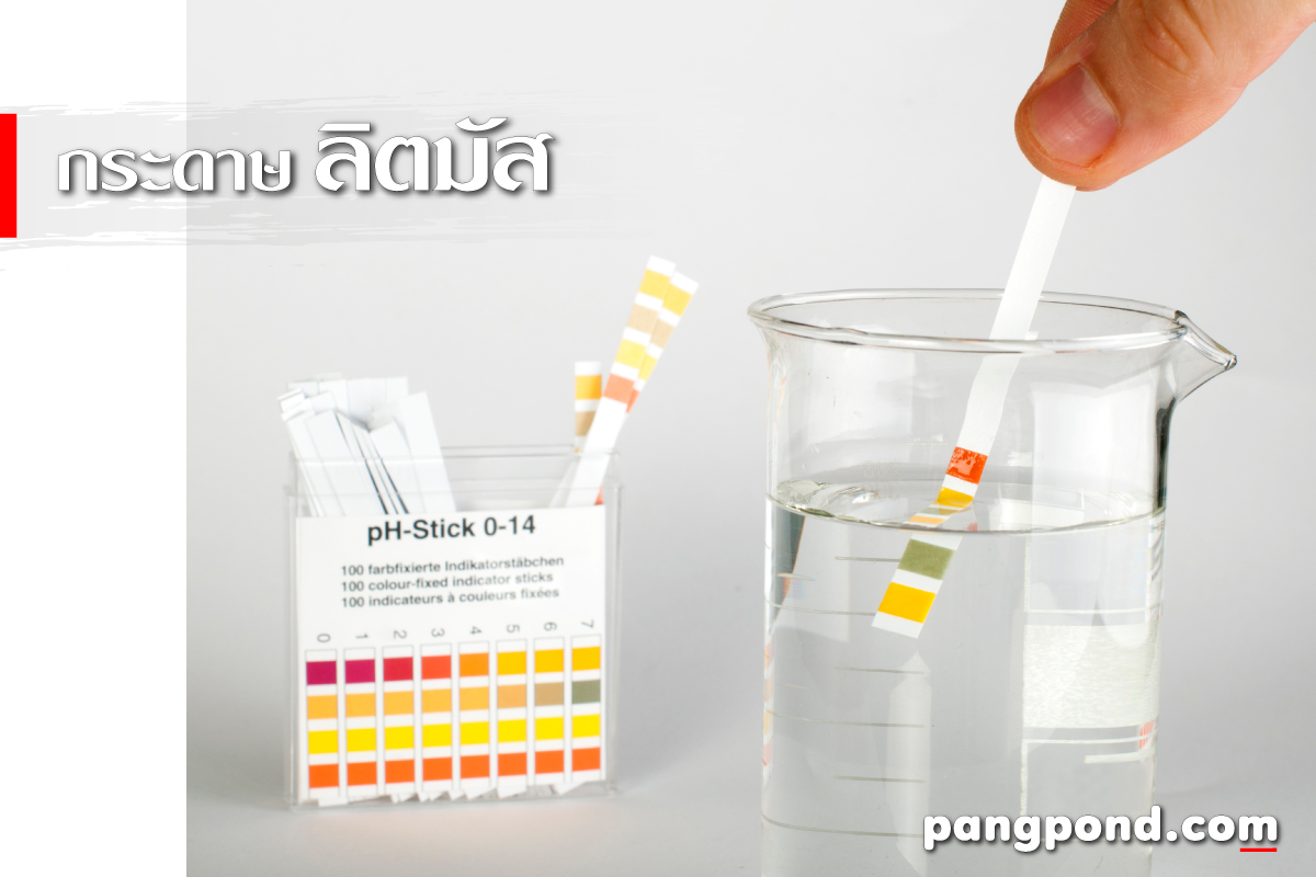 รวมเครื่องมือ 9 TOOL อุปกรณ์ทางวิทยาศาสตร์อะไรบ้างพร้อมบรรยาย? 10 กระดาษลิตมัส LITMUS และสารเคมี ทดสอบ