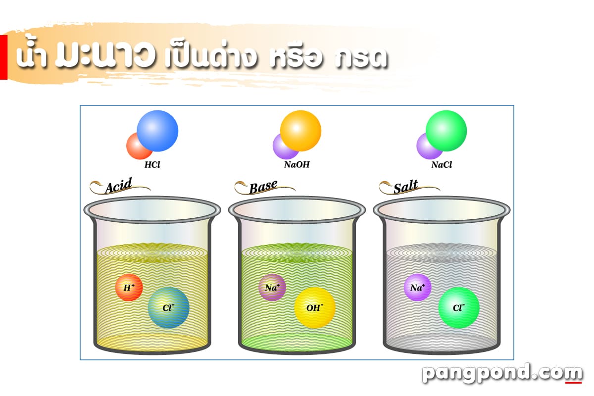 มะนาวเป็นกรดหรือด่าง (Is lemon acidic or alkaline?) มะนาวกรด 4 น้ำมะนาว ด่าง