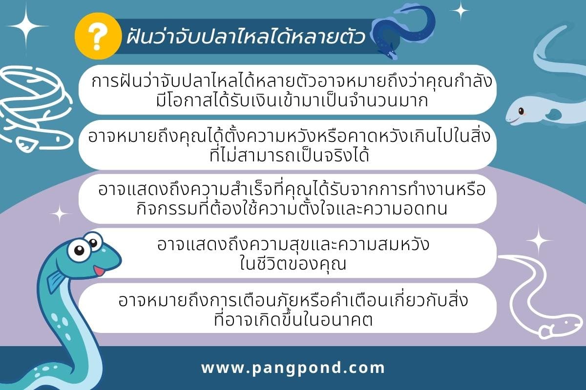 เลขนำโชคฝันว่าได้จับปลาไหล (Lucky numbers for dreaming about 3 ฝันว่าจับปลาไหลหลายตัว