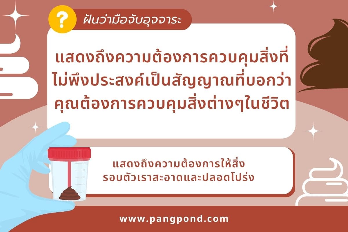 เลข ฝันว่าเก็บอุจจาระ เต็มไปหมดเลขเด็ดคนอื่นส้วมครบจบ 7 เลข? 3 ฝันว่ามือจับอุจจาระ