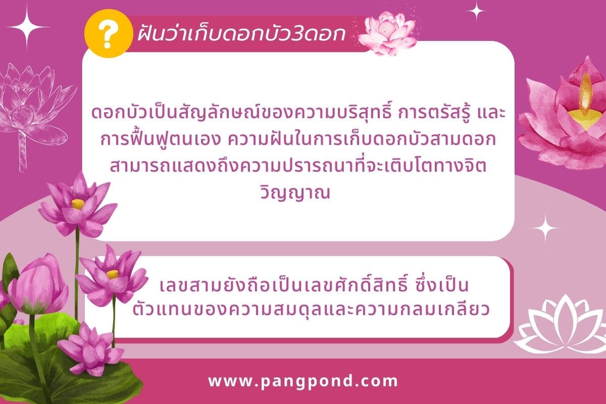 ฝันว่าเก็บดอกบัว (Dreaming of picking lotus flowers) ฝันเก็บ 4 ฝันว่าเก็บดอกบัว3ดอก