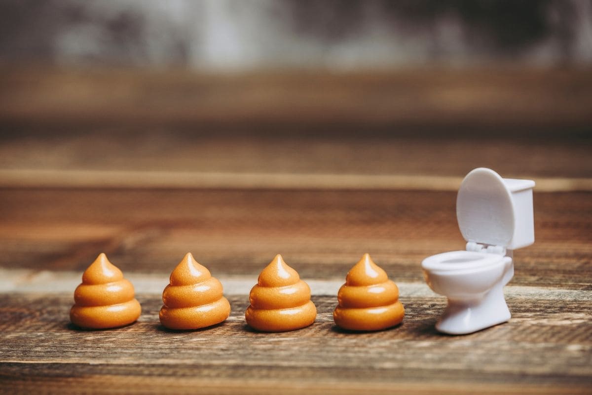 เลข ฝันว่าเก็บอุจจาระ เต็มไปหมดเลขเด็ดคนอื่นส้วมครบจบ 7 เลข? 4 ฝันว่าเก็บอุจจาระ 01