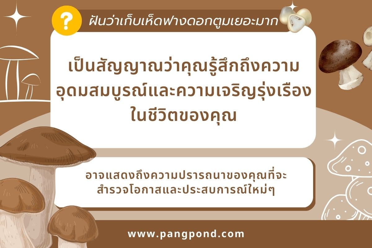 เลข ฝันว่าเก็บเห็ด ได้เยอะสีขาวดอกใหญ่รู้แล้วอย่างฮา 9 เลข? 4 ฝันว่าเก็บเห็ดฟางดอกตูมเยอะมาก