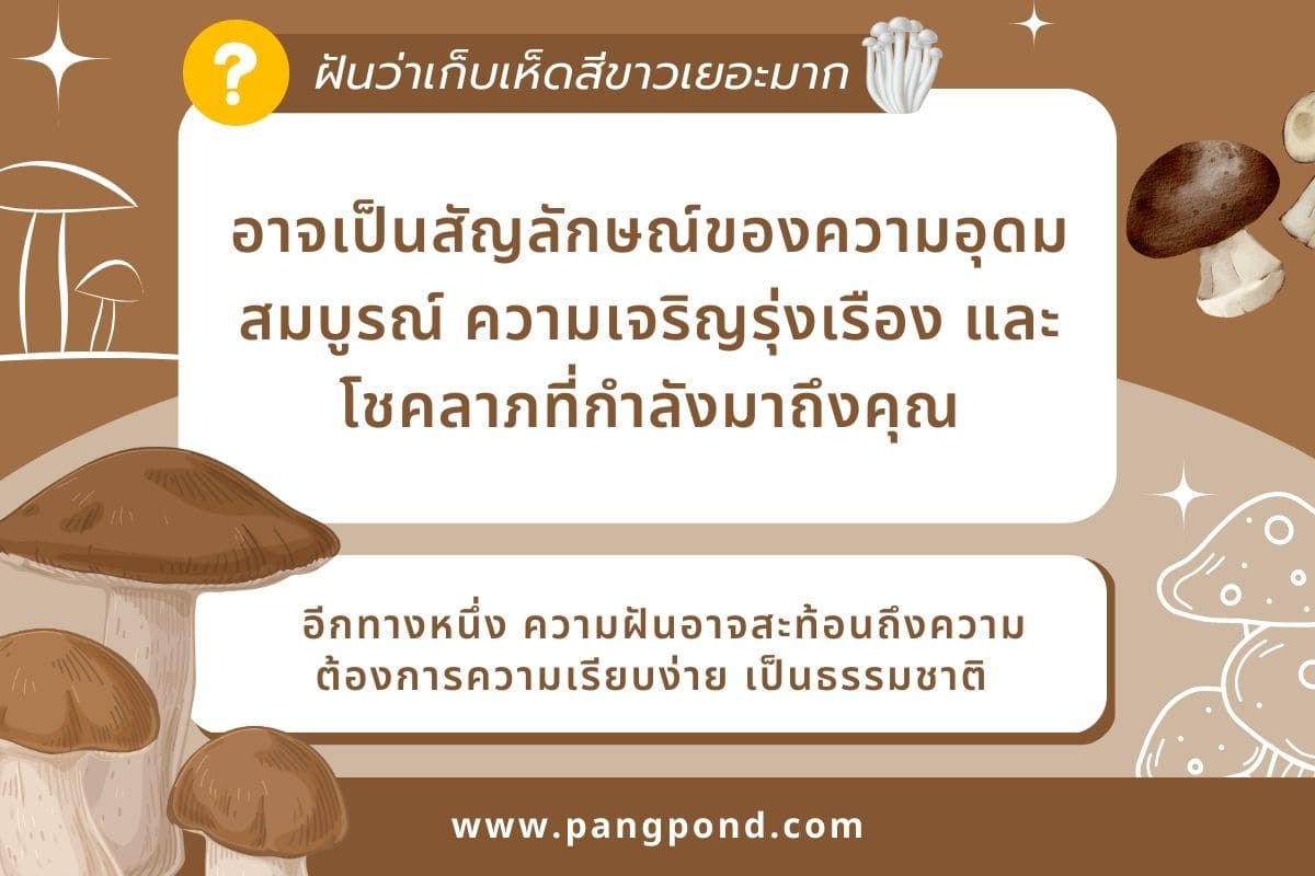 เลข ฝันว่าเก็บเห็ด ได้เยอะสีขาวดอกใหญ่รู้แล้วอย่างฮา 9 เลข? 3 ฝันว่าเก็บเห็ดสีขาวเยอะมาก