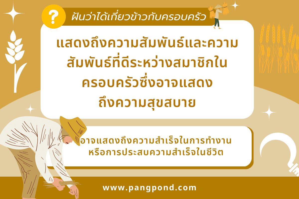 ฝันว่าเกี่ยวข้าว (Dream about harvesting rice) ฝันข้าวการฝัน 3 ฝันว่าได้เกี่ยวข้าวกับครอบครัว