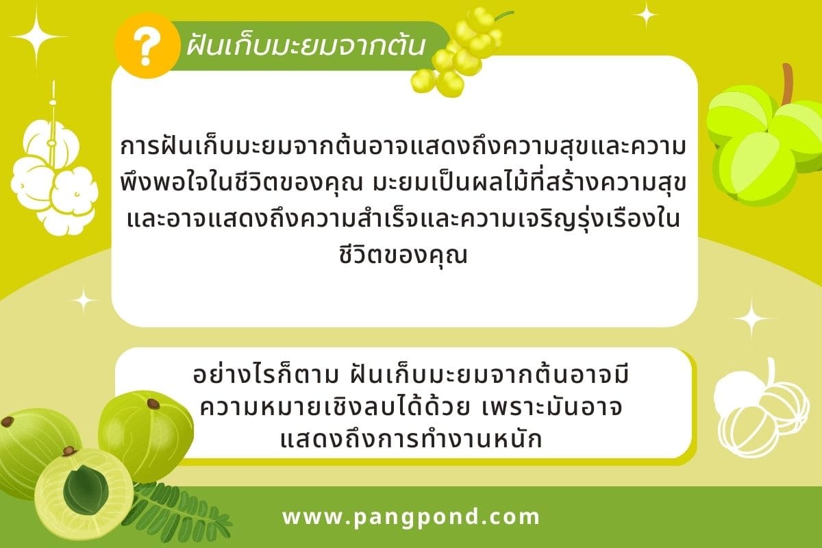 ฝันว่าเก็บมะยมได้เยอะ (Dreamed of picking a lot of gooseberr 2 ฝันเก็บมะยมจากต้น