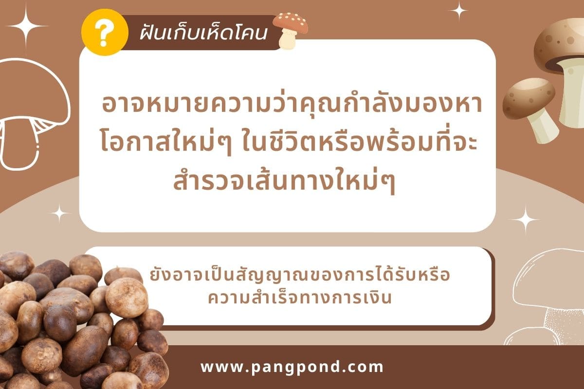 ฝันว่าเก็บเห็ดเผาะเยอะมากมองหาทักษะใหม่ๆมีค่าในชีวิต 7 เลข? 3 ฝันเก็บเห็ดโคน