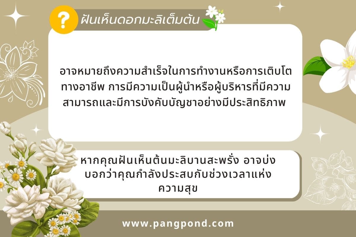 ฝันว่าเก็บดอกมะลิ (Dreaming of picking jasmine flowers) ฝันเ 4 ฝันเห็นดอกมะลิเต็มต้น