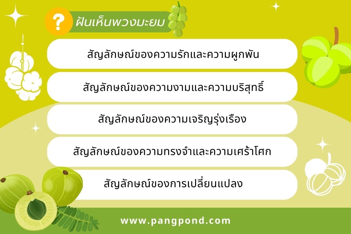 ฝันว่าเก็บมะยมได้เยอะ (Dreamed of picking a lot of gooseberr 4 ฝันเห็นพวงมะยม