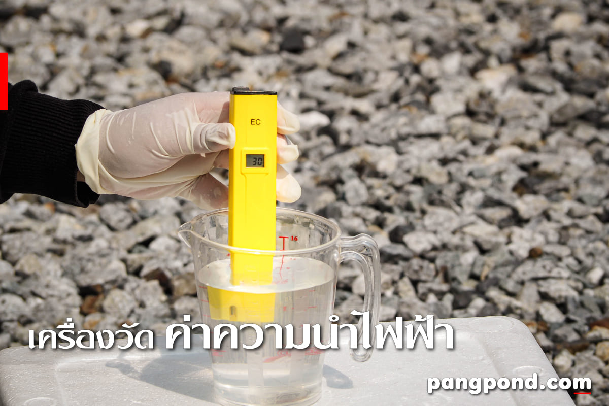 รวมเครื่องมือ 9 TOOL อุปกรณ์ทางวิทยาศาสตร์อะไรบ้างพร้อมบรรยาย? 12 เครื่องวัดค่าความนำไฟฟ้า Conductivity Meter
