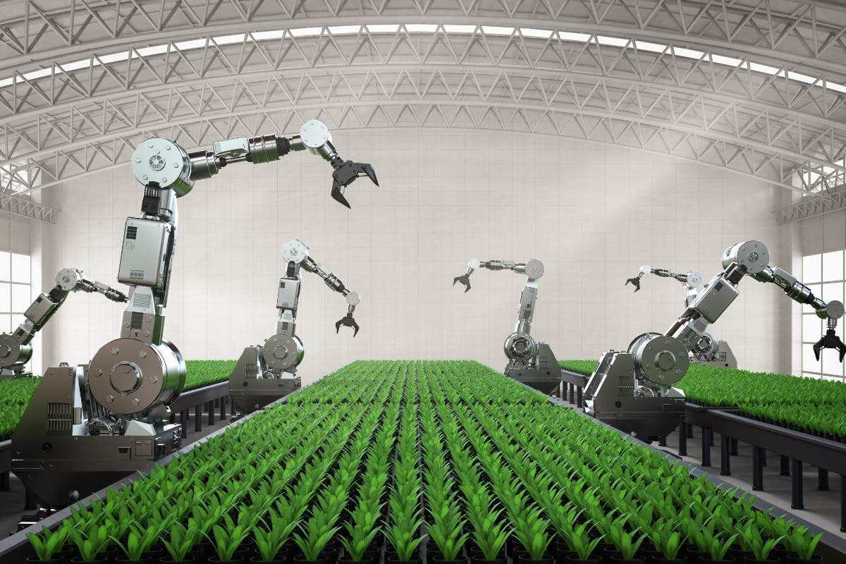 เทคโนโลยีในการเกษตร ที่ลดการใช้สารเคมีทำได้อย่างเจ๋ง 5 เทคโนโลยี!? 3 %E0%B9%80%E0%B8%97%E0%B8%84%E0%B9%82%E0%B8%99%E0%B9%82%E0%B8%A5%E0%B8%A2%E0%B8%B5%E0%B9%83%E0%B8%99%E0%B8%81%E0%B8%B2%E0%B8%A3%E0%B9%80%E0%B8%81%E0%B8%A9%E0%B8%95%E0%B8%A3 02