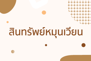 งบการเงินบริษัท (Company financial statements) งบการงบการของ 3 %E0%B8%AA%E0%B8%B4%E0%B8%99%E0%B8%97%E0%B8%A3%E0%B8%B1%E0%B8%9E%E0%B8%A2%E0%B9%8C%E0%B8%AB%E0%B8%A1%E0%B8%B8%E0%B8%99%E0%B9%80%E0%B8%A7%E0%B8%B5%E0%B8%A2%E0%B8%99