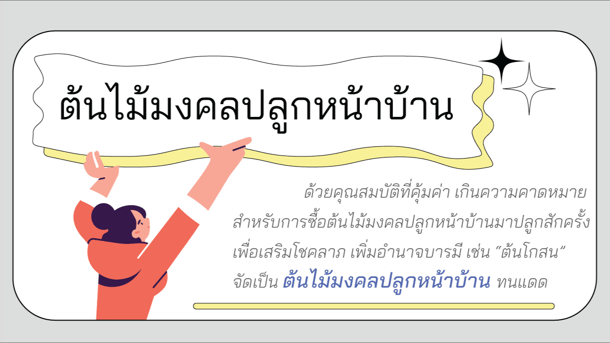 ต้นไม้ฟอกอากาศ ปลูกในบ้านห้องนอนมงคลที่ไม่มีใครรู้ 7 ต้น? 4 ต้นไม้มงคลปลูกหน้าบ้าน