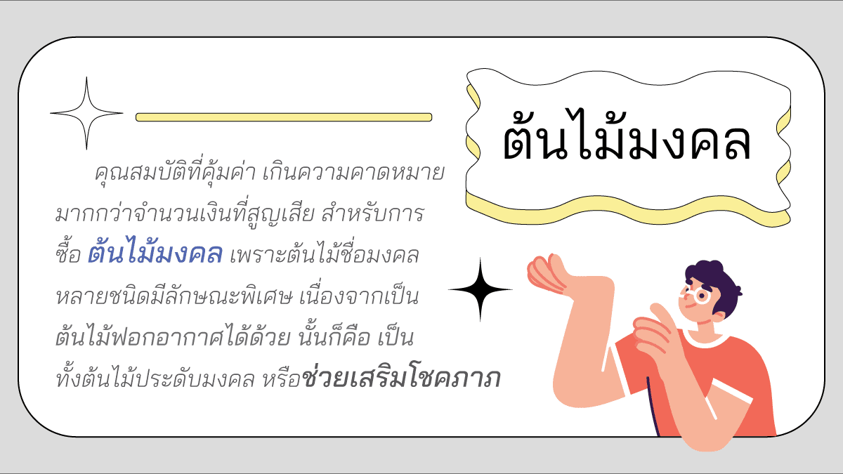 ต้นไม้ฟอกอากาศ ปลูกในบ้านห้องนอนมงคลที่ไม่มีใครรู้ 7 ต้น? 3 ต้นไม้มงคล