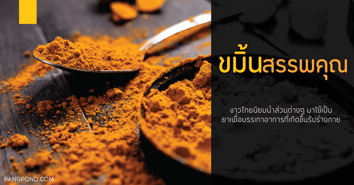 สรรพคุณขมิ้นชัน แคปซูลกินวันละกี่เม็ดตอนไหนครบจบ 7 สรรพคุณ? 3 ขมิ้นชัน กินวันละกี่เม็ด ขมิ้นชัน กินตอนไหน