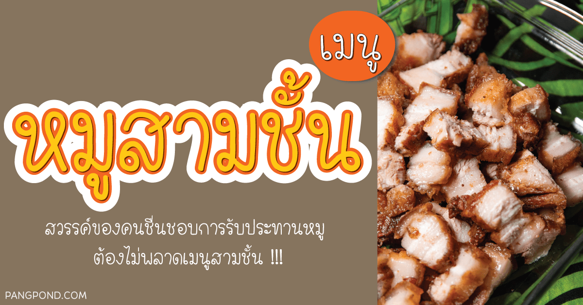 เมนูหมู วิธีทำเนื้อหมูง่ายๆทำอะไรส่วนผสมรสชาติกันไป 15 เมนู? 3 เมนู หมูสามชั้น