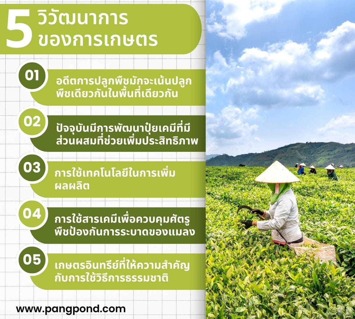 วิวัฒนาการ เกษตรอดีตปัจจุบันเทคโนโลยีเกษตรอัจฉริยะ 5 วิวัฒนาการ? 2 5 %E0%B8%A7%E0%B8%B4%E0%B8%A7%E0%B8%B1%E0%B8%92%E0%B8%99%E0%B8%B2%E0%B8%81%E0%B8%B2%E0%B8%A3%E0%B8%82%E0%B8%AD%E0%B8%87%E0%B8%81%E0%B8%B2%E0%B8%A3%E0%B9%80%E0%B8%81%E0%B8%A9%E0%B8%95%E0%B8%A3