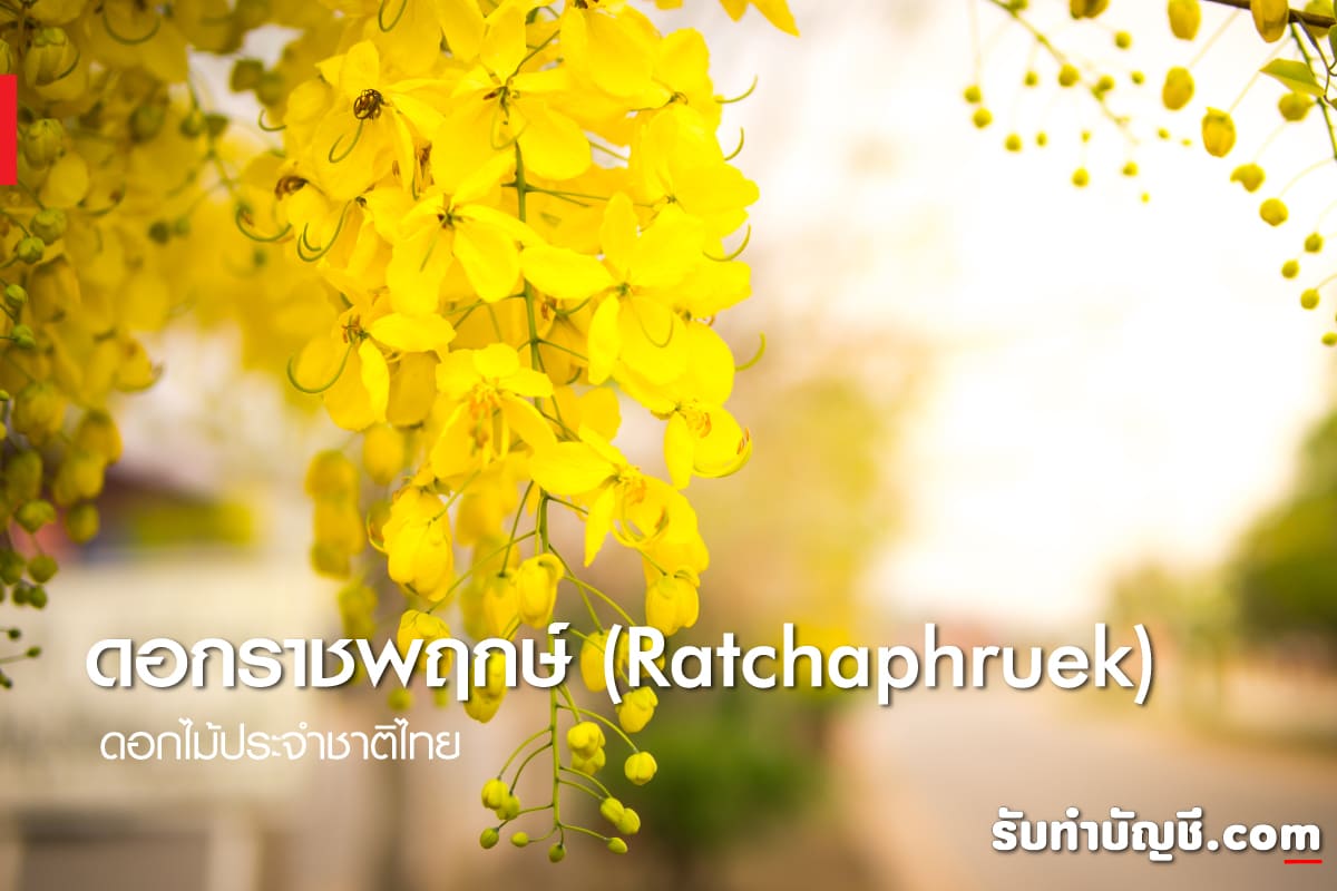 ดอกไม้ประจำชาติไทย