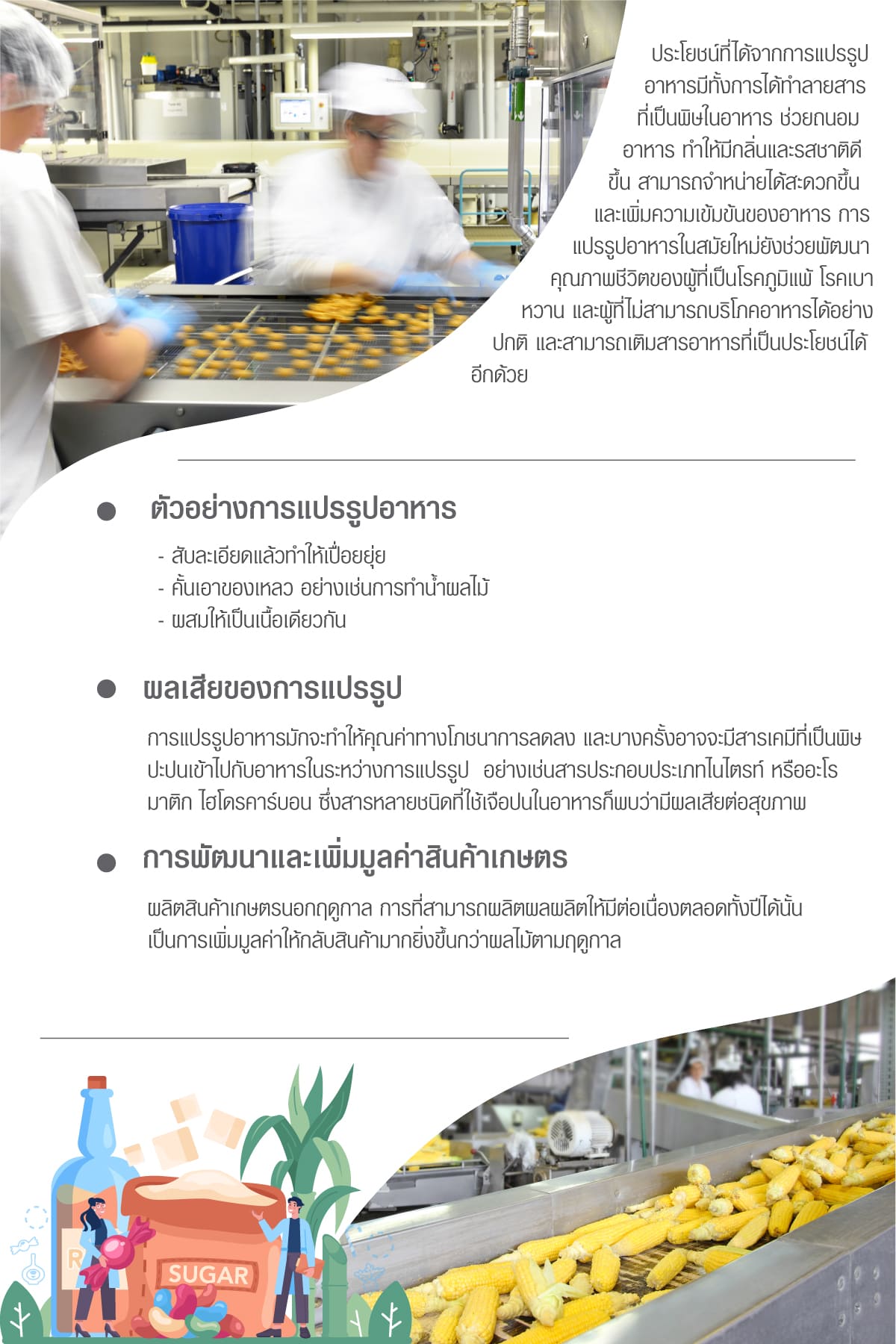 อาหารแปรรูป มีประโยชน์ผลไม้สุขภาพทําง่ายๆพื้นบ้านครบ 100+? 3 ประโยนช์ของอาหารแปรรูป