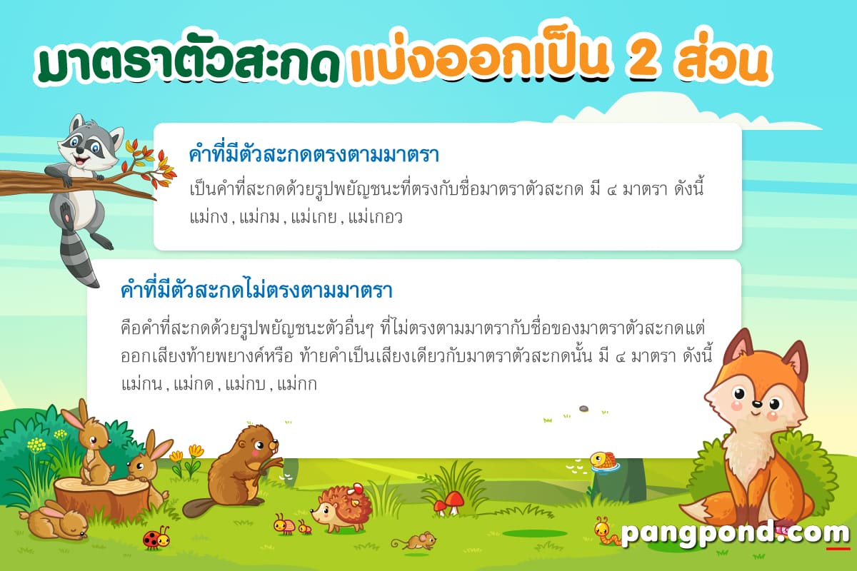 มาตราตัวสะกด 9 แม่ กม เกอว กน กกา มี อะไร บ้าง | Pangpond