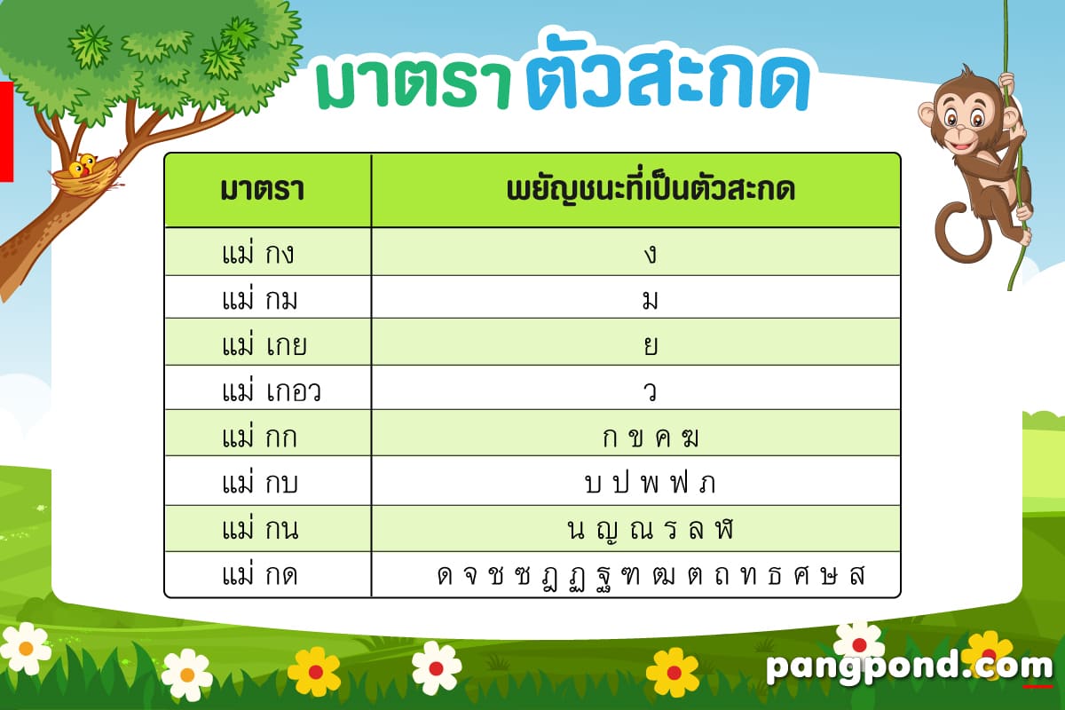 มาตราตัวสะกด 9 แม่ กม เกอว กน กกา มี อะไร บ้าง | Pangpond