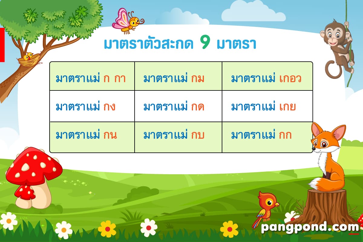 มาตราตัวสะกด 9 แม่ กม เกอว กน กกา มี อะไร บ้าง | Pangpond