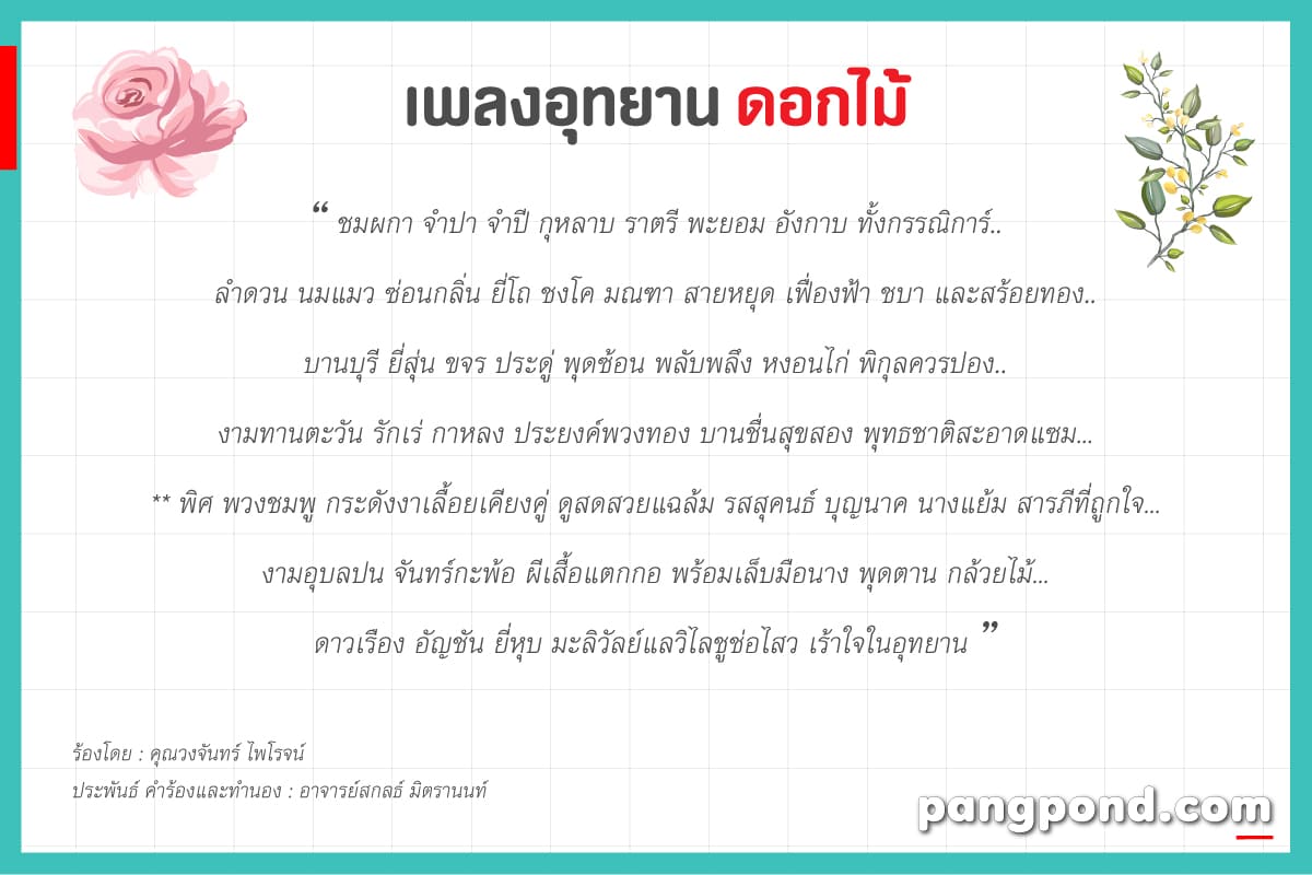 ชื่อดอกไม้มงคลรวมรวมเพราะๆไทยอังกฤษสีสวยๆ 100 ความหมายดีๆครบ 5 เพลงอุทยานดอกไม้