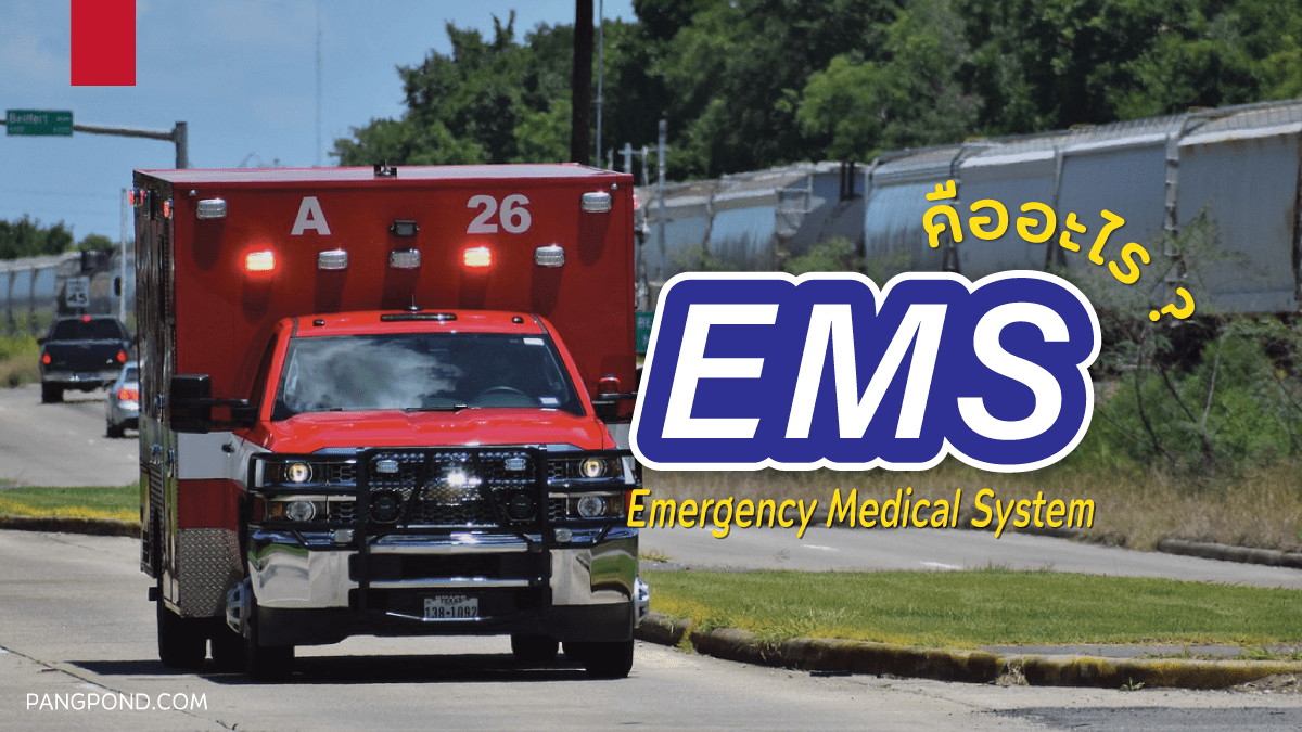 ems  คือ