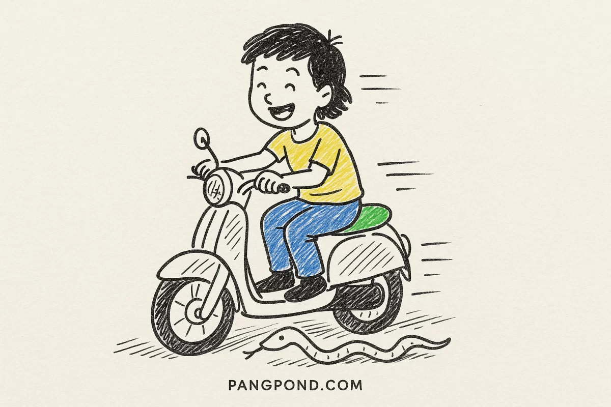 ฝันว่าขี่รถมอเตอร์ไซค์เหยียบงูธรรมดาแฝงสัญญาณดวงชะตา 9 โอกาส