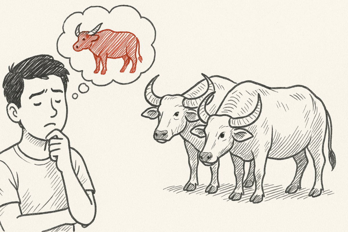 การตีความและความหมายของฝันเห็นควาย 2 ตัว ฉบับเข้าใจง่าย อัปเ